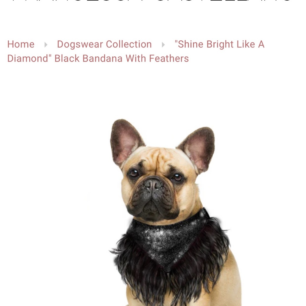 Black Faux Leather Dog Bandana with Feathers